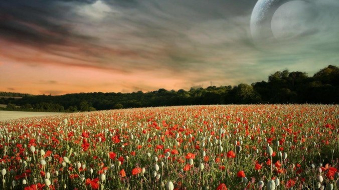 性在婚姻生活中真的重要吗?